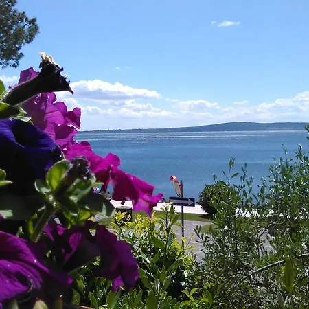 Vigna Rosa Lakeside Trevignano Romano